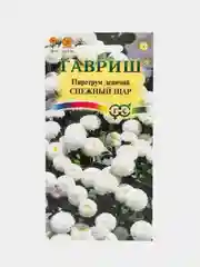 Пиретрум "Снежный Шар" семена цветов