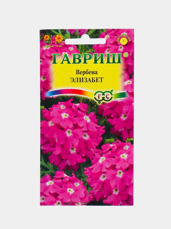 Вербена Элизабет, семена, цветы