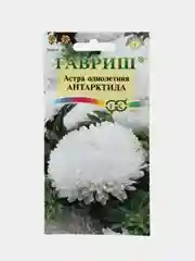 Семена цветов Астра "Антарктида"