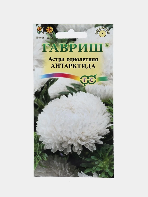 Семена цветов Астра "Антарктида"