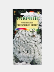 Амми Серебряный шатер (семена,цветы)