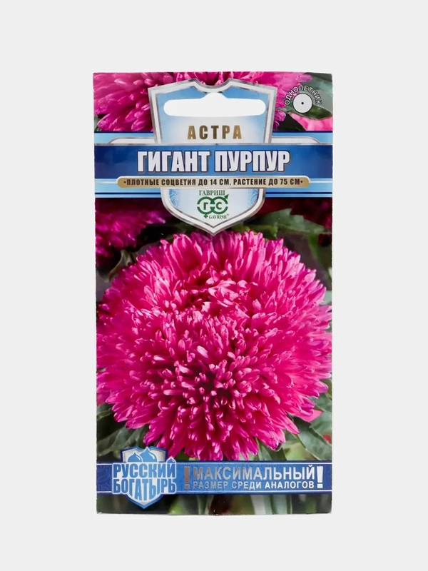 Астра Гигант Пурпур (семена, цветы)
