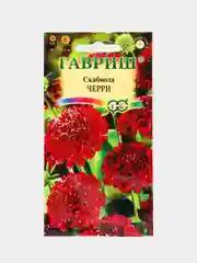 Семена цветов Скабиоза "Черри"