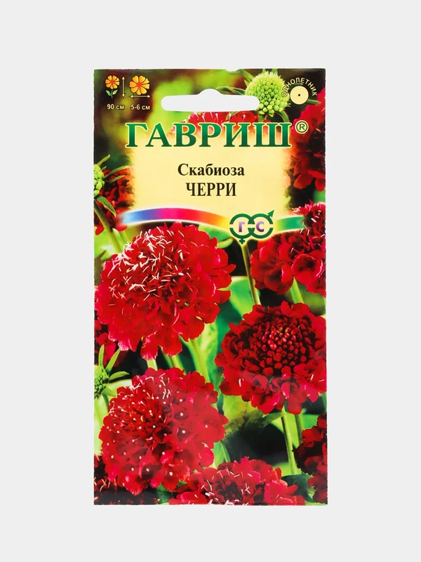 Семена цветов Скабиоза "Черри"