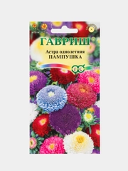 Семена цветов Астра "Пампушка"