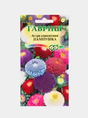 Семена цветов Астра "Пампушка"