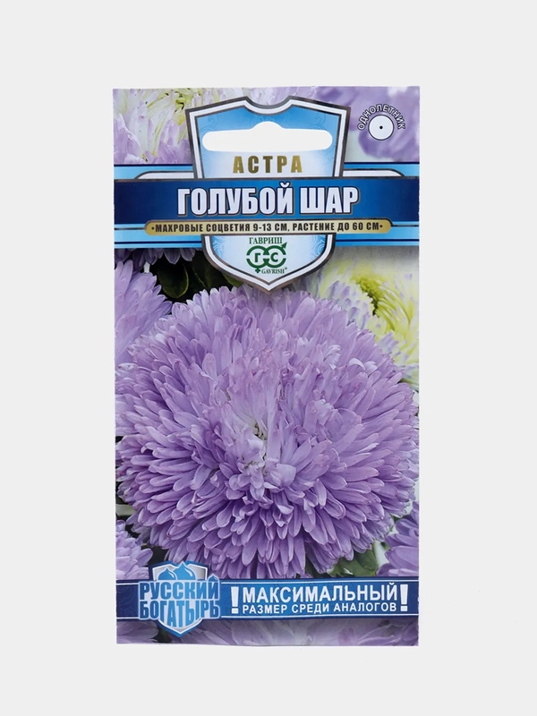 Семена астры "Голубой шар"