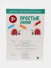 Школа маленьких совят 2+. Простые линии