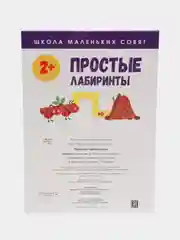 Школа маленьких совят 2+. Простые лабиринты
