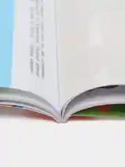 Школа маленьких совят 2+. Развиваем мышление