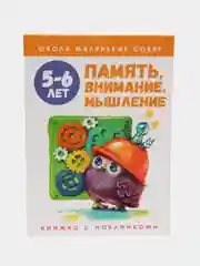 Школа маленьких совят 5-6 лет. Память, внимание, мышление
