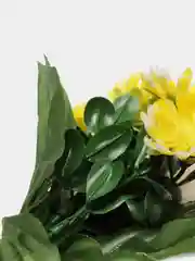 Желтый хризантемы, пластиковый букет