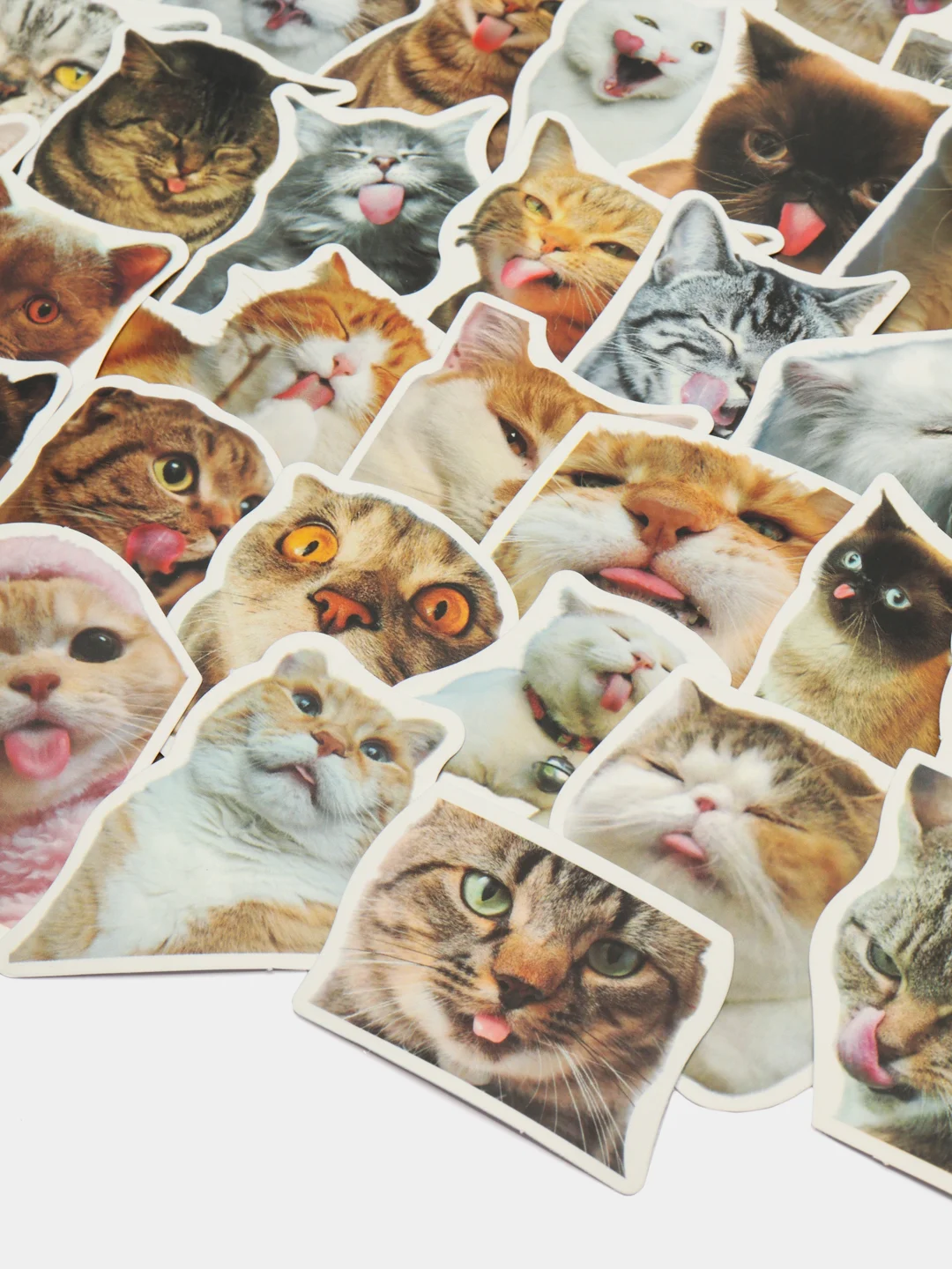 Бежевый наклейки котики