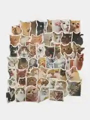 Бежевый наклейки котики