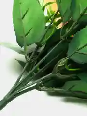 Бежевый искусственные цветы "Розы", букет роз, красные, белые, жёлтые, розовые