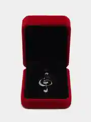 Брошь "Скрипичный ключ", в коробке, цвет серебро