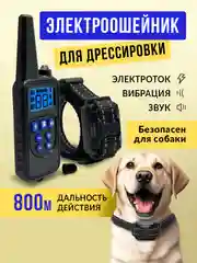 Синий ошейник для дрессировки собак, электронный