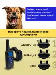 Синий ошейник для дрессировки собак, электронный