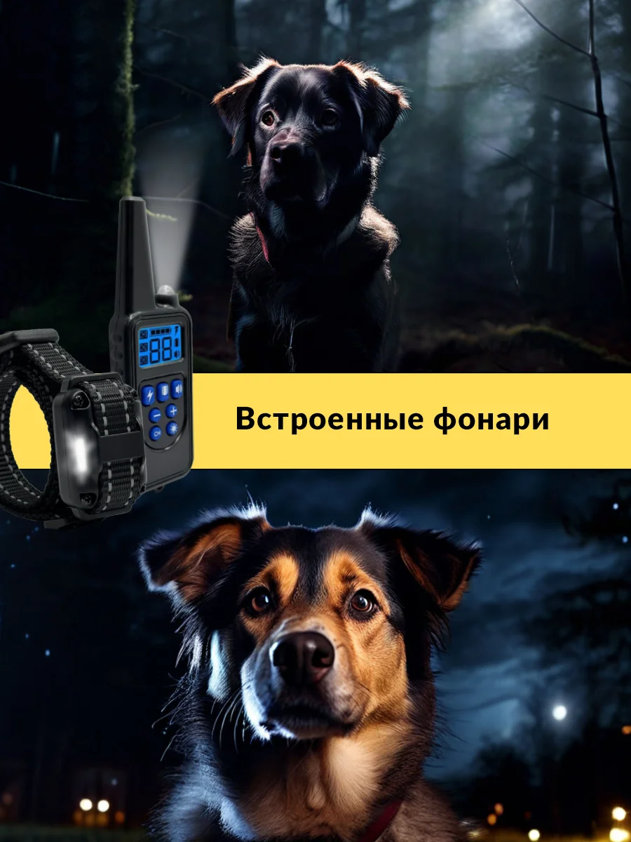 Синий ошейник для дрессировки собак, электронный