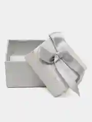 Серёжки