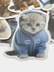 Коричневый наклейки стикеры для девочек котики и лапки, стикерпак 50 штук