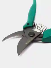 Зеленый секатор садовый, ножницы садовые