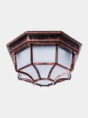 Уличный потолочный светильник Arte Lamp PEGASUS