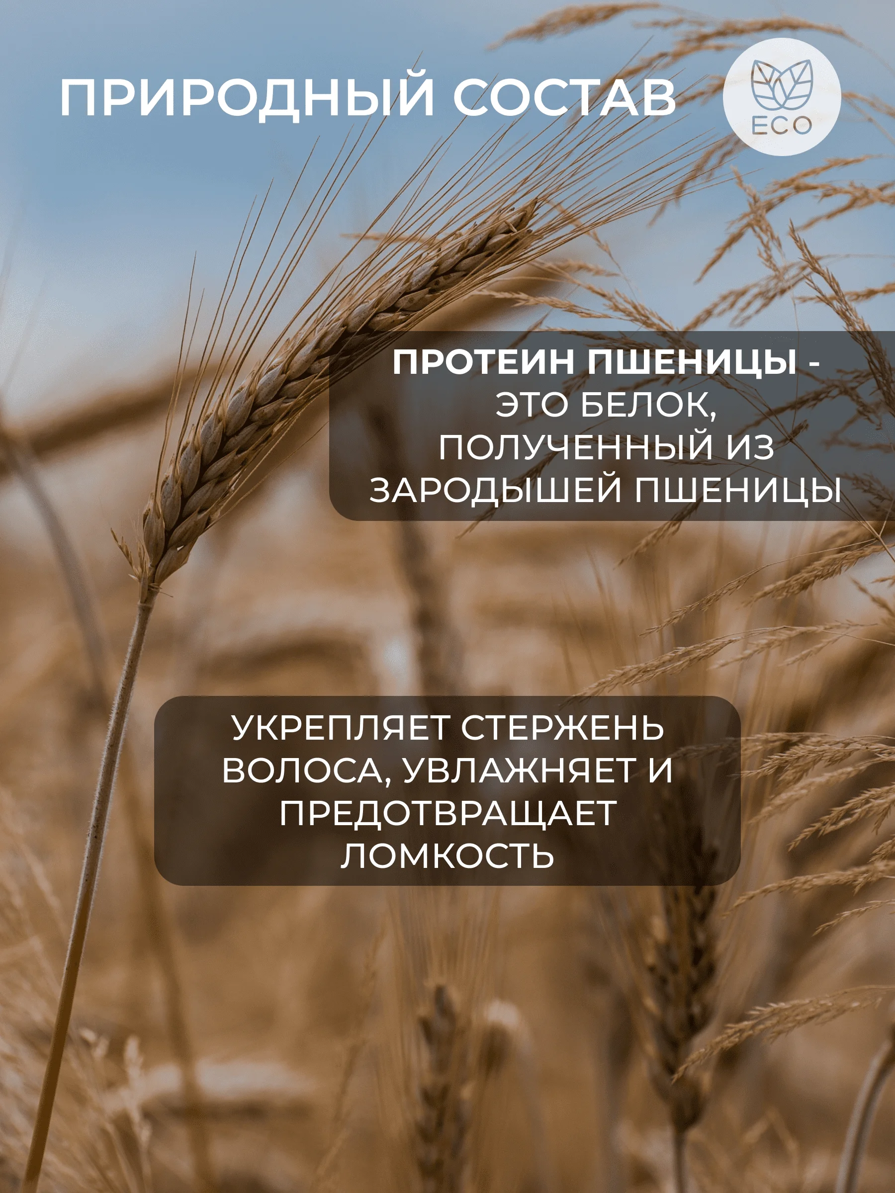 Шампунь для всех типов волос НЕЖНАЯ ГОЛУБКА "Здоровье и Красота" бессульфатн, 250мл
