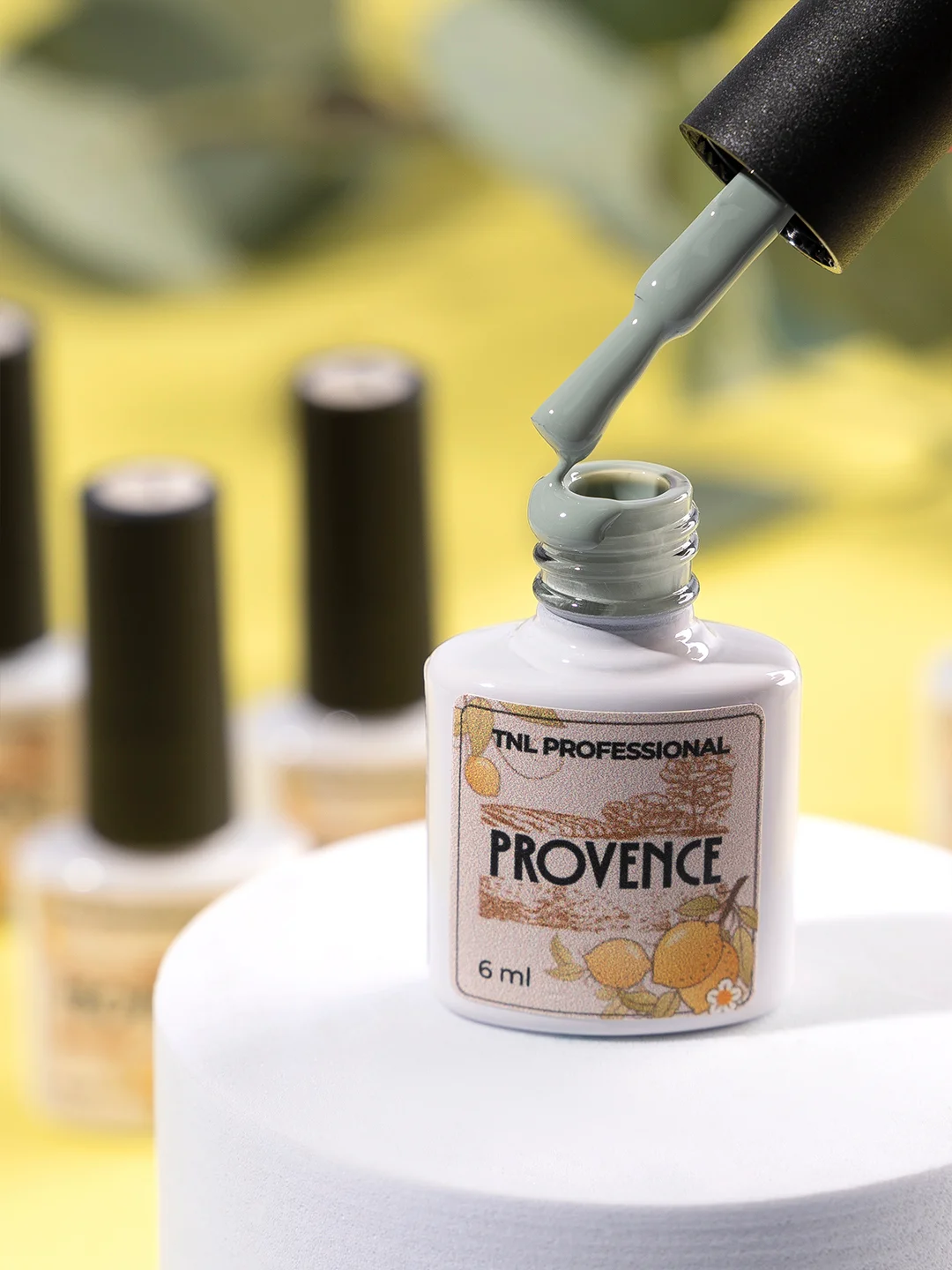 Набор гель-лаков TNL Provence, 6 шт