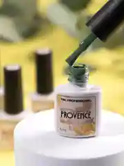 Набор гель-лаков TNL Provence, 6 шт