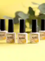 Набор гель-лаков TNL Provence, 6 шт