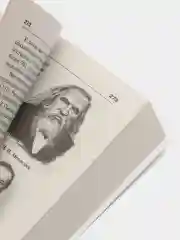 История России с иллюстрациями. Краткий курс. Зверев В.В