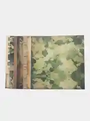 Набор бумаги для скрапбукинга "Militari" двусторонняя 30х30см 18 листов