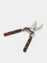 Секатор или садовые ножницы - ручной инструмент для обрезания побегов и нетолстых веток