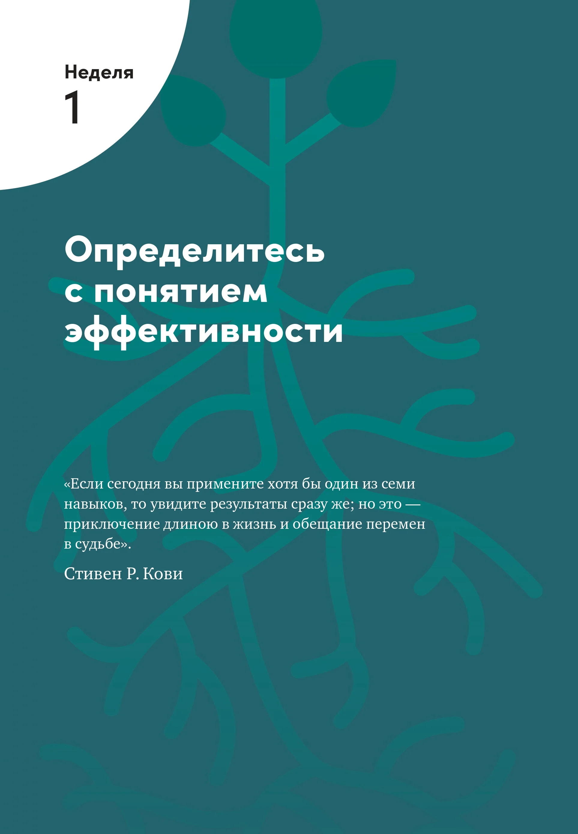Семь навыков высокоэффективных людей на практике