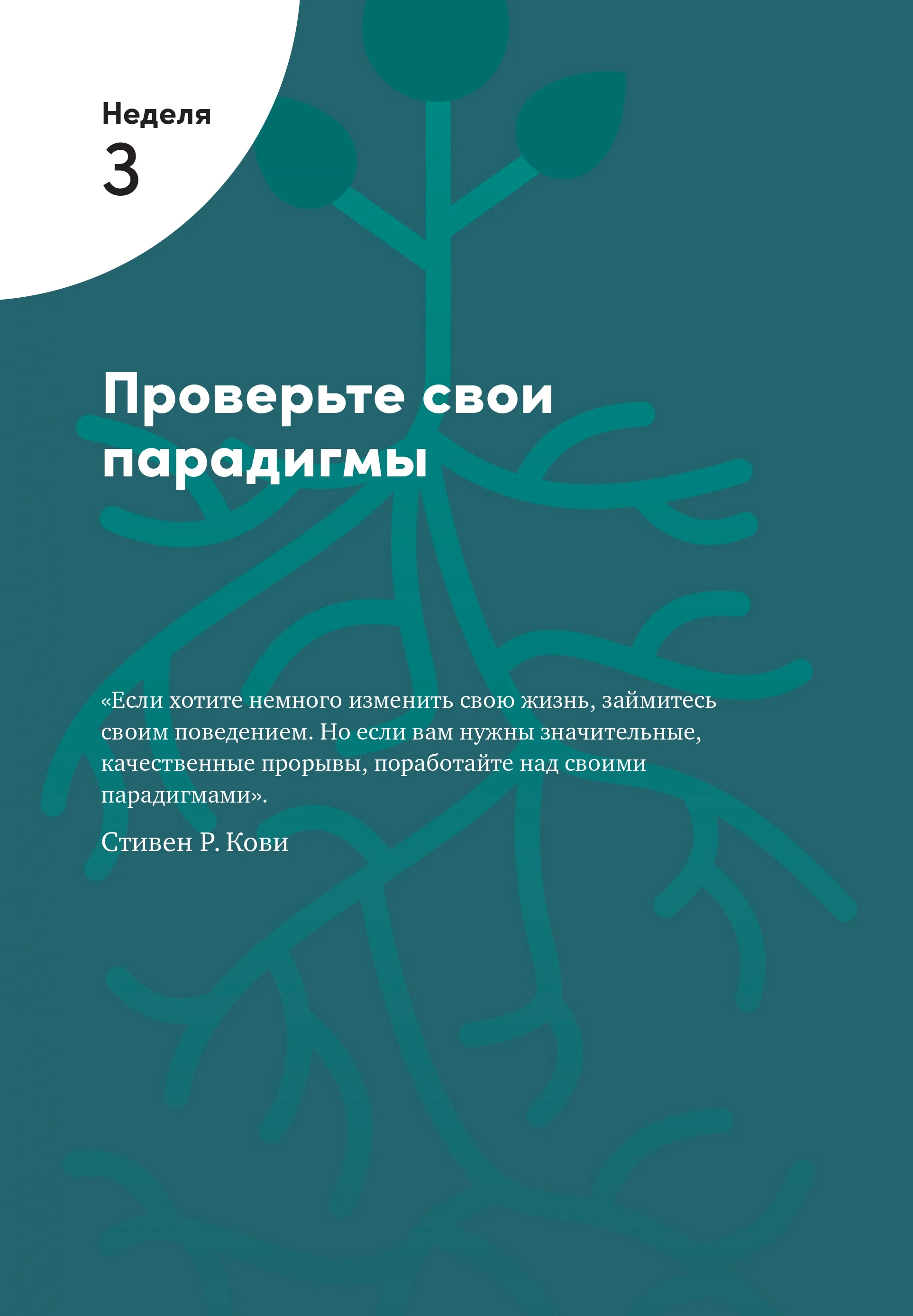 Семь навыков высокоэффективных людей на практике