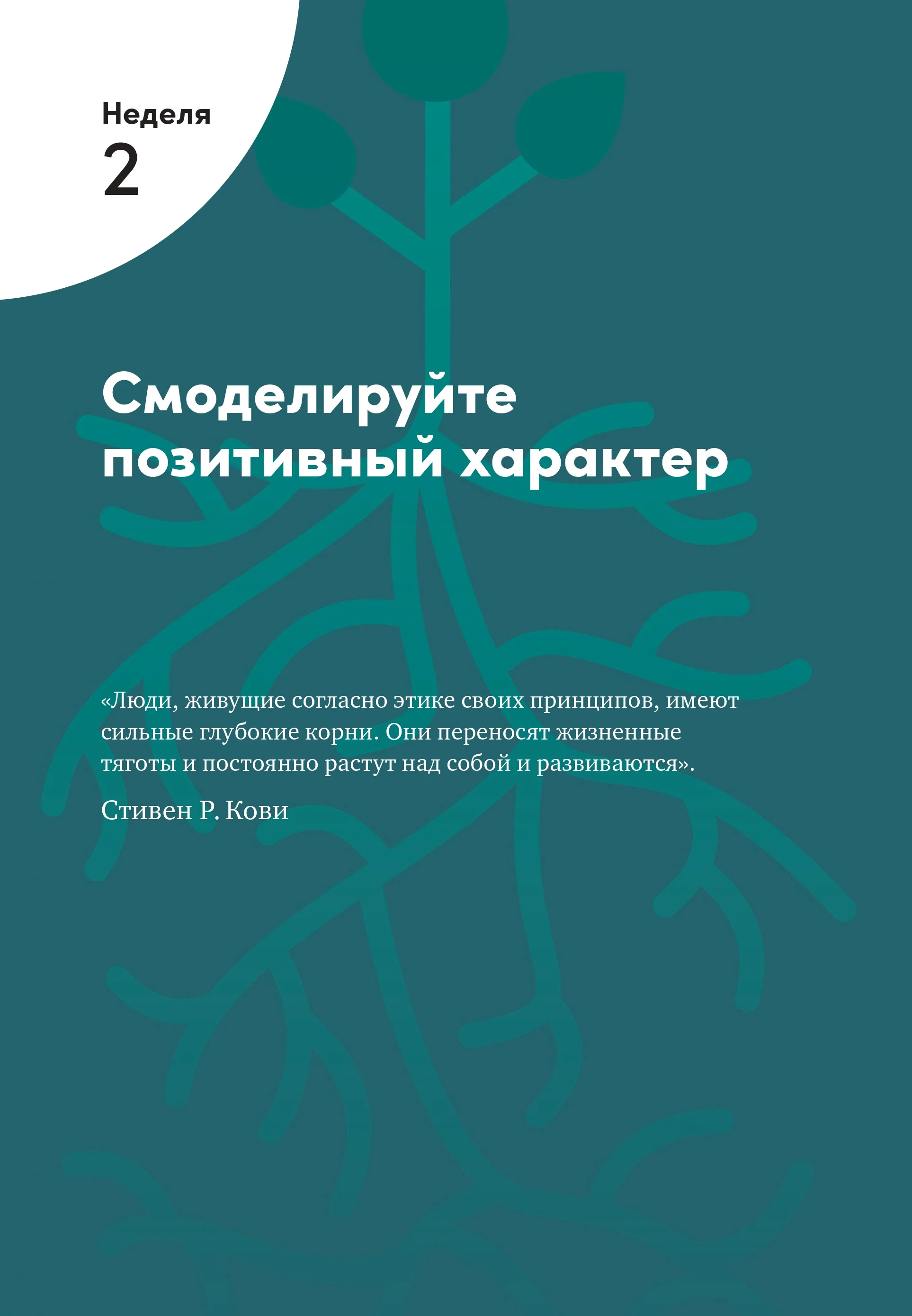 Семь навыков высокоэффективных людей на практике
