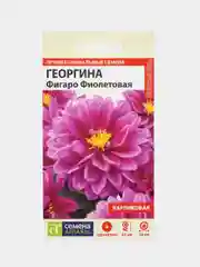 Семена цветов Георгина "Фигаро", фиолетовая, махровая, Семена Алтая, 5 шт