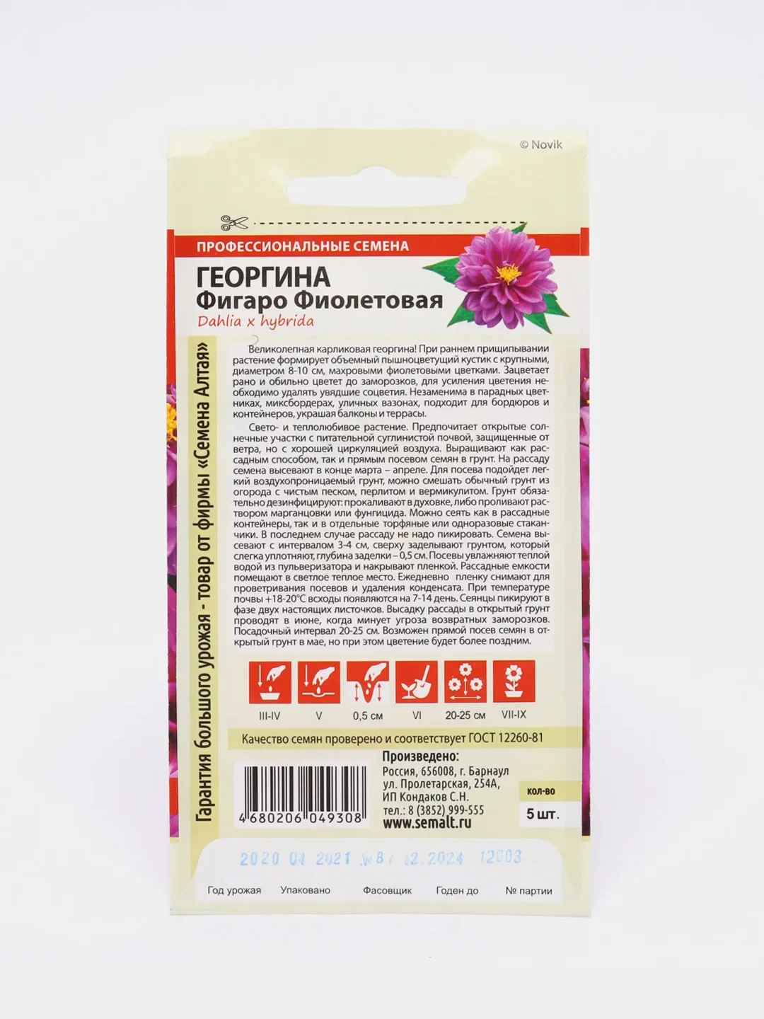 Семена цветов Георгина "Фигаро", фиолетовая, махровая, Семена Алтая, 5 шт
