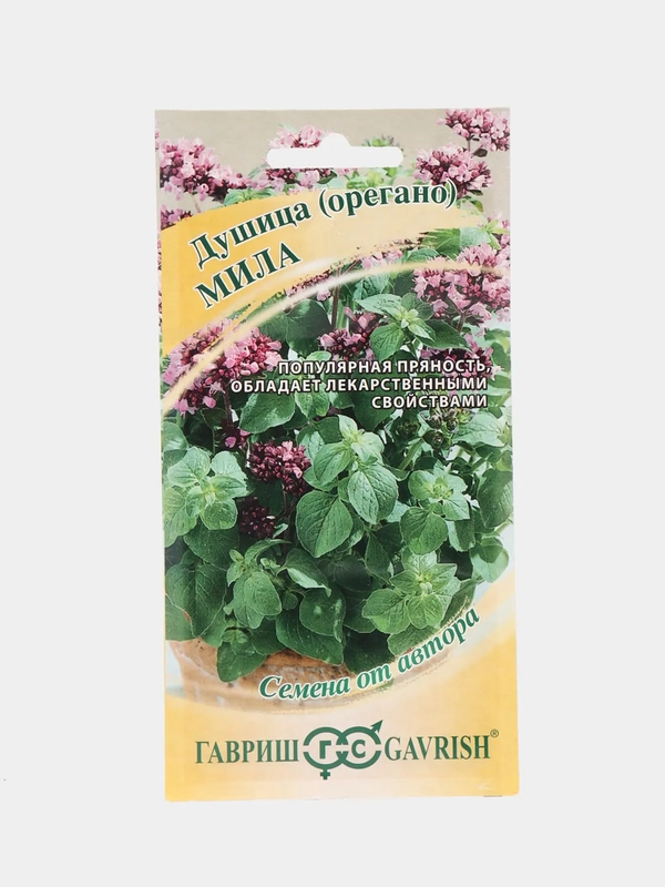 Семена орегано Душица "Мила"