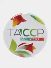 Значок "100 лет ТАССР", 56 мм
