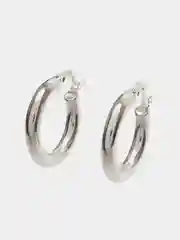 Серебряный серьги Horseshoe