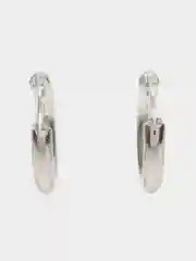 Золотой серьги Horseshoe