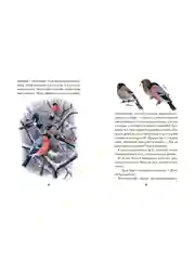 Птичьи дети. Детская проза. Белый И.Б