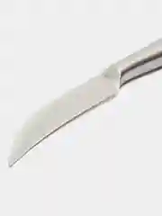 Серый металлик нож для овощей кухонный Magistro Ardone, лезвие 8,5 см, цвет серебристый