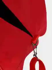 Алый сумка для ручной клади для "Победы"