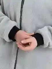 Светло-коричневый пальто женское, шуба тедди, большие размеры, весна