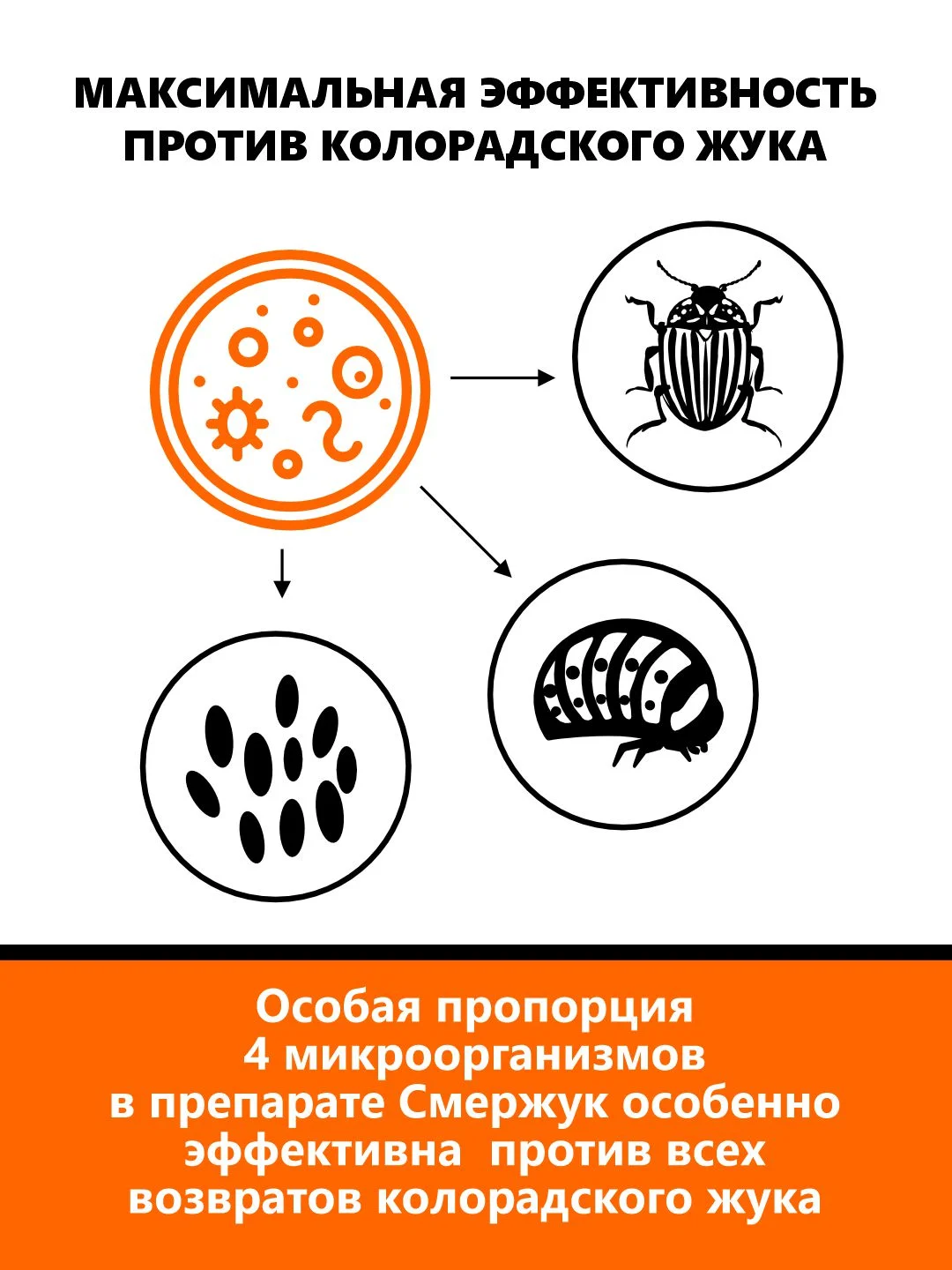 Агробиовит от колорадского жука "Смержук"