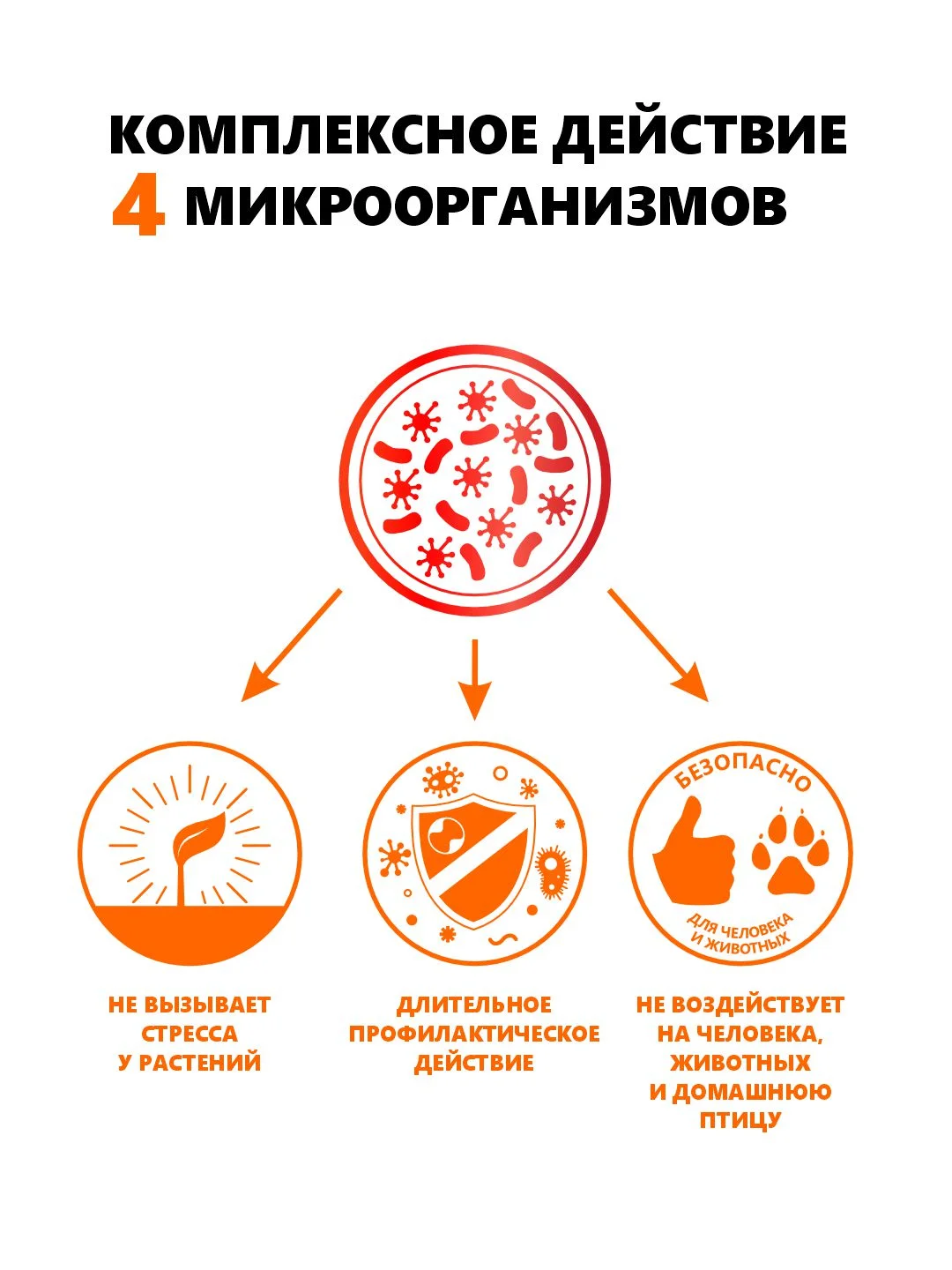 Агробиовит от колорадского жука "Смержук"
