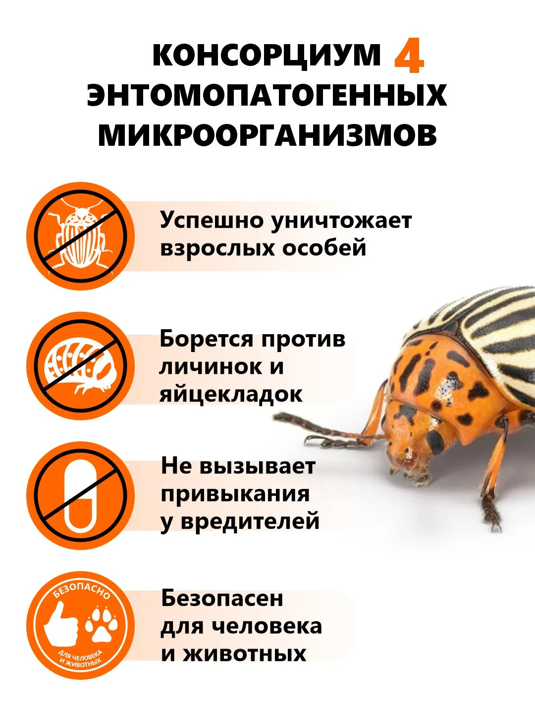 Агробиовит от колорадского жука "Смержук"